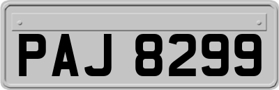 PAJ8299