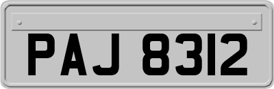 PAJ8312