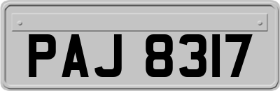 PAJ8317