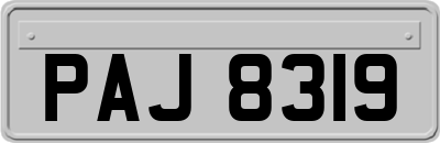 PAJ8319
