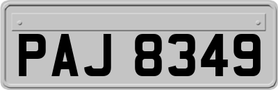 PAJ8349