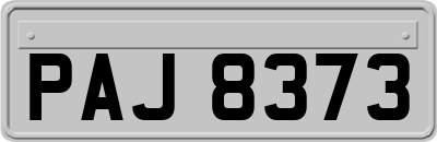 PAJ8373