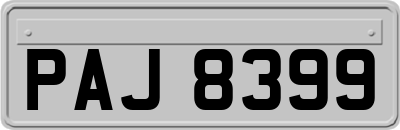 PAJ8399
