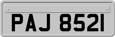 PAJ8521