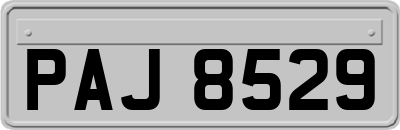 PAJ8529