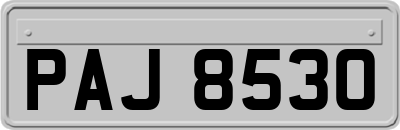 PAJ8530
