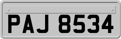 PAJ8534