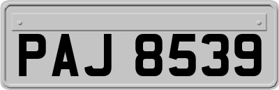 PAJ8539