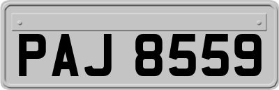 PAJ8559