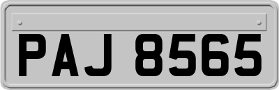 PAJ8565