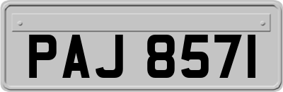 PAJ8571