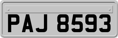 PAJ8593