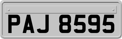 PAJ8595