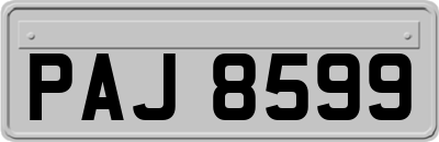 PAJ8599