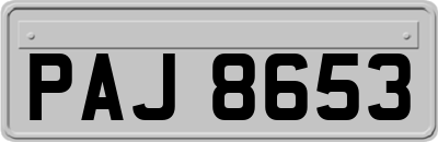 PAJ8653