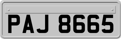 PAJ8665
