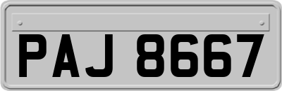 PAJ8667
