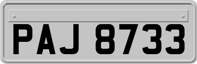 PAJ8733