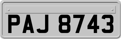 PAJ8743
