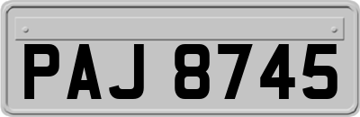 PAJ8745