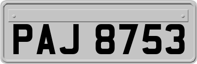 PAJ8753