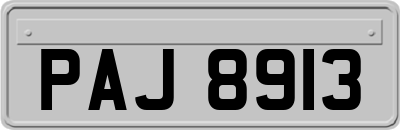 PAJ8913