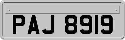 PAJ8919