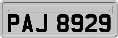 PAJ8929
