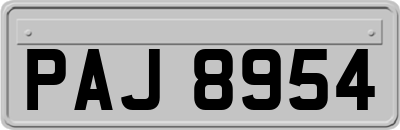 PAJ8954