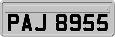PAJ8955