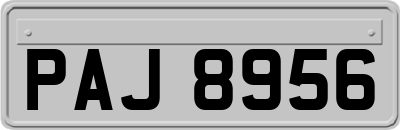 PAJ8956