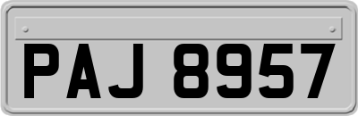 PAJ8957