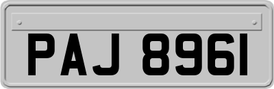 PAJ8961