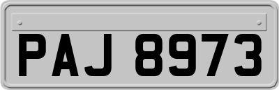 PAJ8973