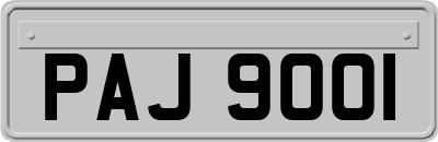 PAJ9001