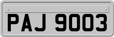 PAJ9003