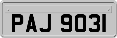 PAJ9031