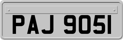 PAJ9051