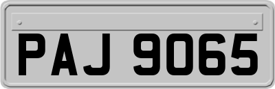 PAJ9065