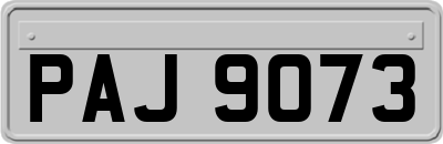 PAJ9073
