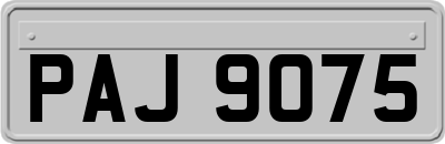 PAJ9075