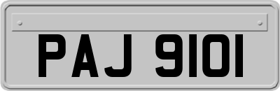 PAJ9101