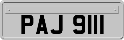 PAJ9111