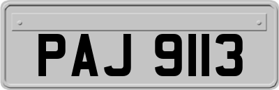 PAJ9113