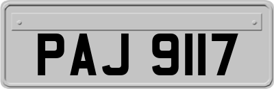 PAJ9117