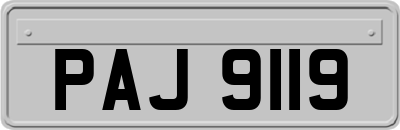 PAJ9119
