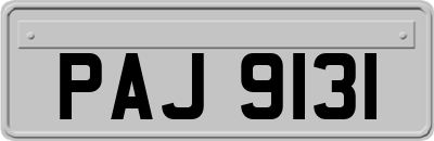 PAJ9131