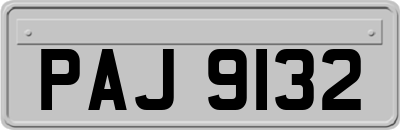 PAJ9132
