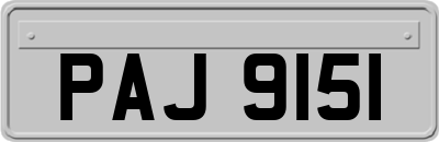 PAJ9151