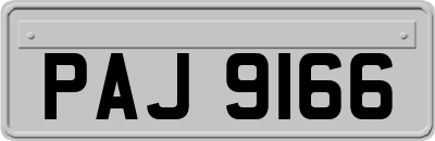PAJ9166